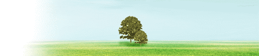 Fundación Numa:.Wealth Knowledge ::..
